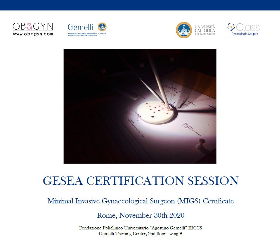 Programma GESEA CERTIFICATION SESSION - MIGS